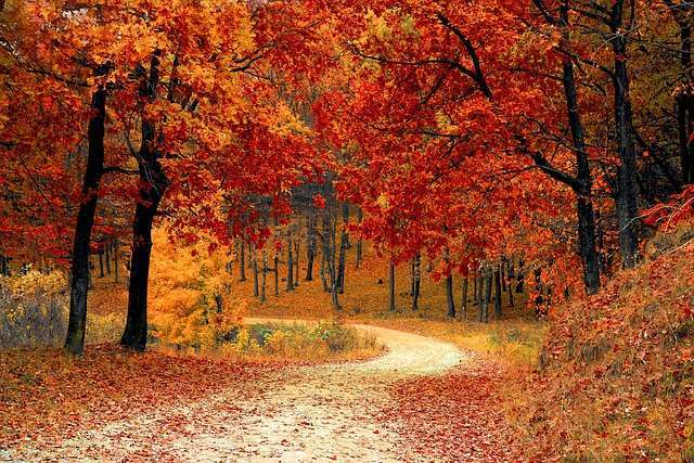 Seasonal Slowdown Strategy