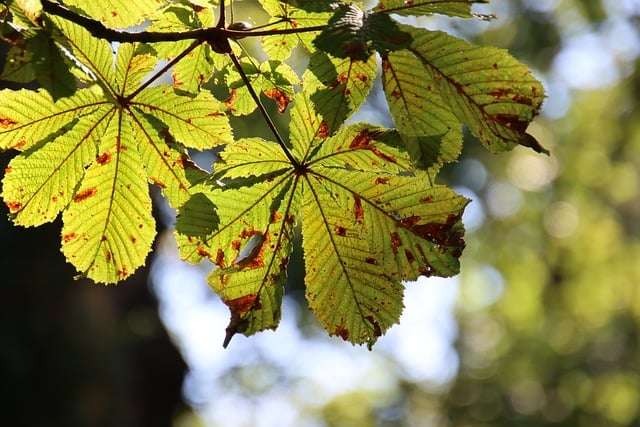 Seasonal Slowdown